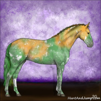 Horse Color:Watercolor White Spotted Liver Chestnut Ice