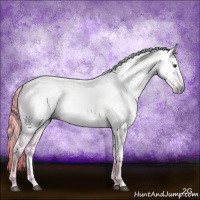 Horse Color:Gray Watercolor White Spotted Liver Chestnut Ice 