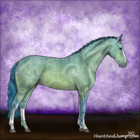 Horse Color:Watercolor White Spotted Buckskin Ice 
