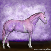 Horse Color:Watercolor White Spotted Chestnut Ice 