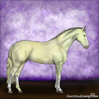 Horse Color:Watercolor White Spotted Chestnut Ice