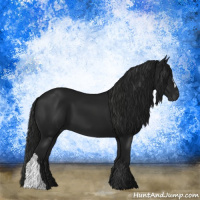 Horse Color:Gray Black 