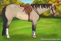 Horse Color:Buckskin Roan Dun