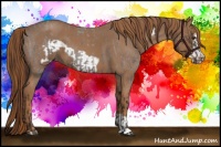 Horse Color:Liver Red Roan  and Red Roan Frame 