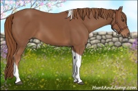 Horse Color:Chestnut Tobiano