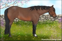 Horse Color:Bay Roan 