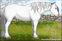 Horse Color:Bay Splash Tobiano