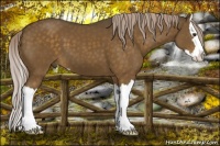 Horse Color:Chocolate Palomino Sabino Splash 