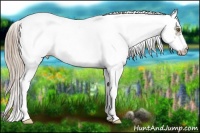 Horse Color:Chocolate Palomino Sabino Splash Frame Near Fewspot Rabicano 