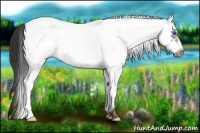Horse Color:White Spotted Liver Chestnut Frame Snowcap