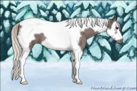 Horse Color:Silver Blue Roan Splash Tobiano Frame 