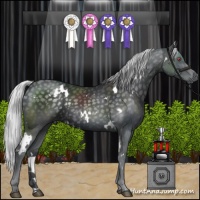 Horse Color:White Spotted Silver Black Chinchilla 