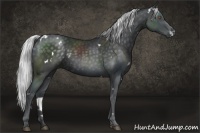 Horse Color:White Spotted Silver Black Chinchilla 