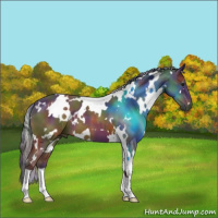Horse Color:Nacre White Spotted Brown 