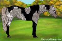 Horse Color:Void Silver Black Ice Tobiano