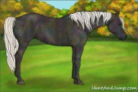 Horse Color:Midnight Silver Smoky Black Ice