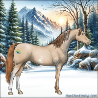 Horse Color:White Spotted Buckskin Roan Pearl 