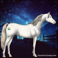 Horse Color:Perlino Roan Dun 