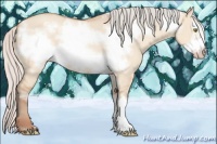 Horse Color:Silver Amber Champagne Dun Frame 
