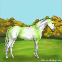 Horse Color:Gray Watercolor White Spotted Liver Chestnut 