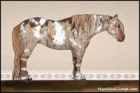 Horse Color:White Spotted Liver Red Dun Sabino Brindle 