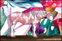 Horse Color:Watercolor White Spotted Silver Grullo Sabino 