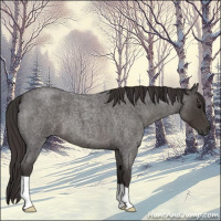 Horse Color:Smoky Blue Roan 