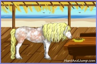 Horse Color:Painted Red Dun Mushroom Sabino