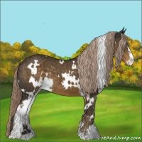 Horse Color:White Spotted Chocolate Palomino Sabino 