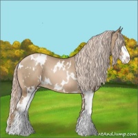 Horse Color:White Spotted Chocolate Palomino Pearl Sabino