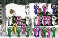 Horse Color:Gray Plaid White Spotted Smoky Black Splash Tobiano