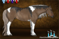 Horse Color:Gray Silver Brown Dun Tobiano Rabicano