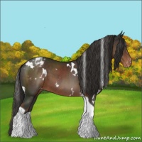 Horse Color:White Spotted Liver Chestnut Tobiano Varnish 