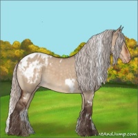 Horse Color:White Spotted Silver Bay Dun Appaloosa