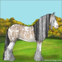 Horse Color:Brown Dun Sabino Splash and White Spotted Bay Dun Splash