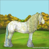 Horse Color:Watercolor White Spotted Brown Appaloosa and Watercolor White Spotted Red Onyx Appaloosa