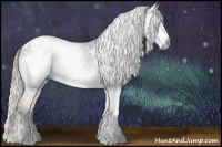 Horse Color:Gray Chocolate Palomino Sabino Appaloosa Rabicano