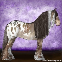 Horse Color:White Spotted Liver Red Dun Roan Blanket Brindle 
