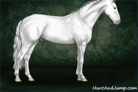 Horse Color:Gray Brown Roan Splash Rabicano  and Gray Buckskin Splash Tobiano Frame Rabicano 
