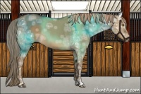 Horse Color:Chocolate Palomino Ice Roan Dun