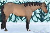 Horse Color:Bay Roan Dun 