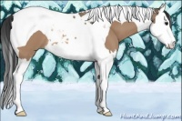 Horse Color:Bay Dun Splash Tobiano 
