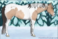Horse Color:Sable Champagne Roan Tobiano