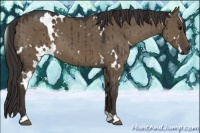Horse Color:White Spotted Smoky Grullo Brindle 