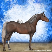 Horse Color:Silver Black 