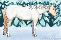 Horse Color:Gold Champagne Roan Dun Splash Tobiano Frame Appaloosa Rabicano 