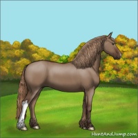 Horse Color:Liver Red Dun 