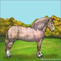 Horse Color:Plaid  Liver Red Dun Sabino 