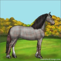 Horse Color:Plaid Liver Red Dun Roan Sabino Rabicano