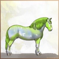 Horse Color:Watercolor White Spotted Liver Red Onyx Rabicano